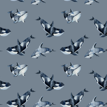 Seamless pattern with watercolor killer whales, hand painted on a grey background