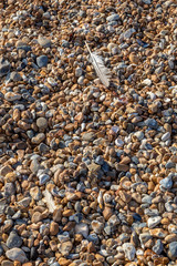 Feathers on a Pebble Beach