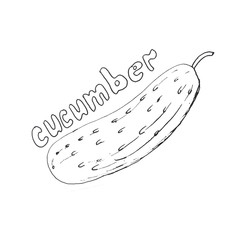 graphic cucumber, made in black ink and with the inscription 
