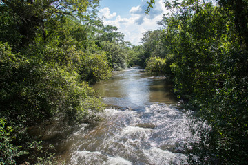 Brown River