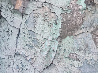 Cracked paint on the wall of old abandoned house