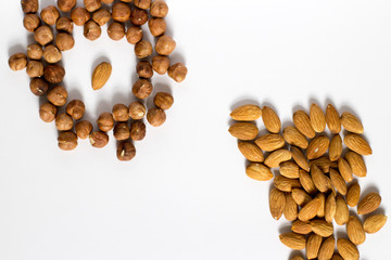  handful of nuts on a white background, almonds and hazelnuts, nest