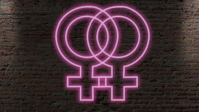 Female x Female neon signe