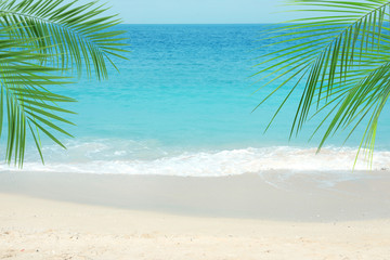 Fototapeta premium Sandy ocean beach and tropical palm leaves on sunny day