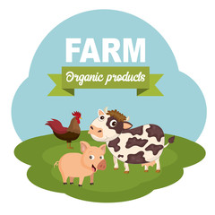 Pigs in the farm scene. Concept for animal farm and organic meat food. Flat vector illustration