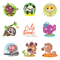 cute animals with scenery set