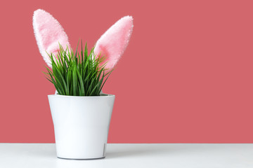 Sticking rabbit ears from a flower pot with green grass. Easter concept. Copy space