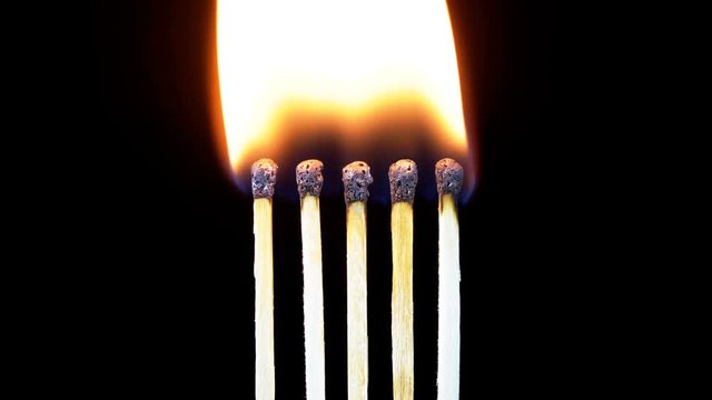 Chain Reaction of Five Matches Lit and Flame on a Black Background