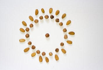 nut circle, flower, hazelnut and almond