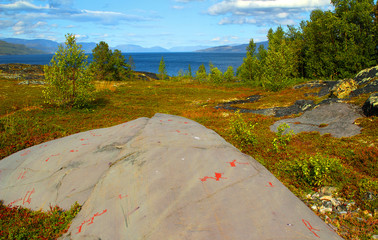 Fototapete bei efototapeten.de bestellen   