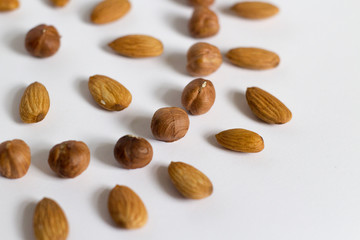 nut circle, flower, hazelnut and almond