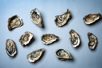 Fresh raw oysters on grey background