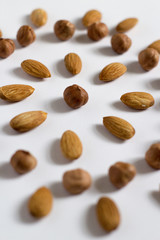 nut circle, flower, hazelnut and almond