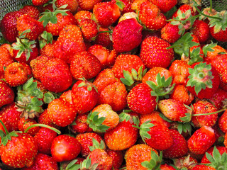 Fresh Strawberries background. Strawberry. Food background.Copy space. Top view, healthy food for breakfast. Eco, organic summer diet food. Ripe strawberries from garden.Summer strawberry.