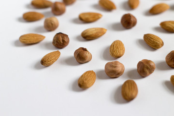 nut circle, flower, hazelnut and almond