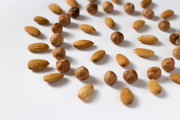 nut circle, flower, hazelnut and almond