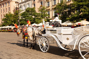 Coche de caballos con amazona.