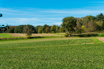 farmland landscape in Europe