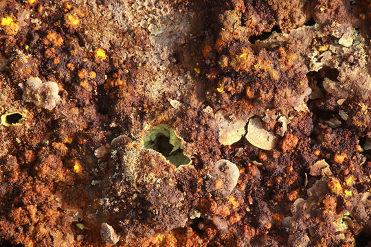 naturalne kolorowe siarkowe i solne twory na pustyni danakilskiej w etiopii