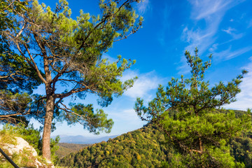 Obraz premium Nature and Mountain background