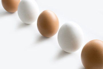 white and brown chicken eggs on white background