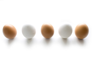 white and brown chicken eggs on white background