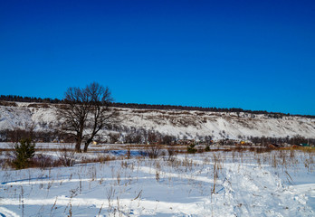 winter, snow, hills, walk, clear, day, forest, trees, blue, sky, nature