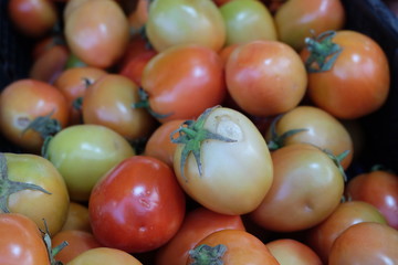 Vegetables that are sick. tomato