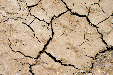 Cracks and fissures in the dry earth create beautiful, richly textured images.
