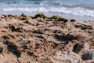 Texture of golden sand against the background of blue sea waves. Wild nature. Children's rest.