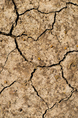 Cracks and fissures in the dry earth create beautiful, richly textured images.