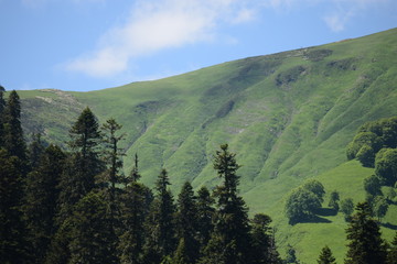 Obraz premium view of mountains