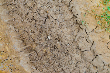 Cracks form as muddy vehicle tracks dry out, creating intersting textures.