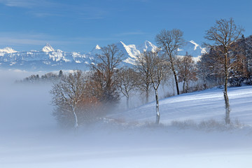 Aussicht von Längenberg, Berner Alpen, Schweiz 