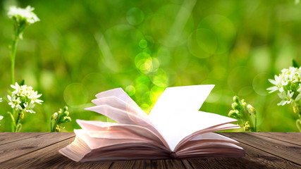 Open book on the wooden table, green summer grass background.