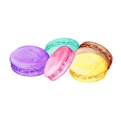 Delicious hand drawn french macarons. Watercolor realistic illustration on white background. Sweet cookies.