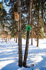 Birdhouses on trees in winter season