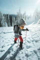 Woman is hiking in snowy winter mountains with trekkin poles and a backpack.  In background blue...