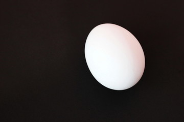 Egg for coloring. One white egg is located on a black background.