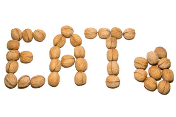 Close-up of walnut. A word made of walnuts. On white background. Isolated.