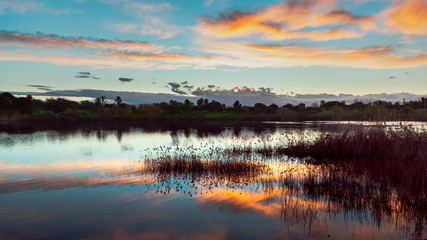 Sunrise on a pond, crisp water and plants