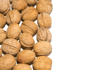 Close-up of walnut. Walnut in the corner. From the side. On white background. Isolated.