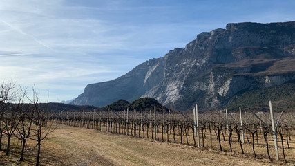 landscape in the mountains