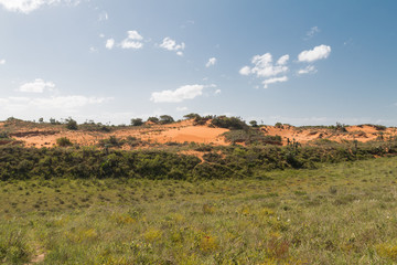 Fototapeta na wymiar Dunes in the iSimangaliso wetland park, South Africa