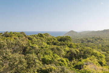 Obraz premium Isimangaliso wetland park, South Africa