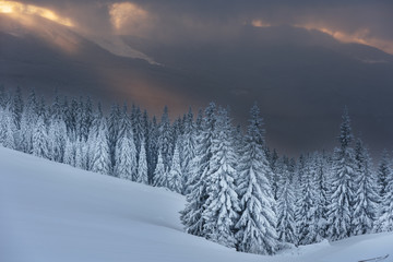 Fototapeta premium Winter, active holidays in the Carpathian Mountains with picturesque huts and plenty of snow.