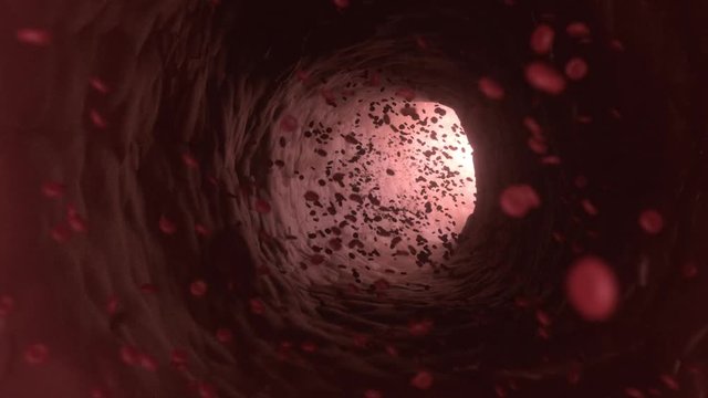 Inside Blood Vessels