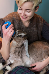 woman feeding milk from bottle of a little goat