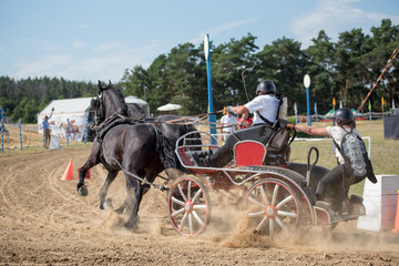 Horse and stunt riders, carriage contest on the race track 