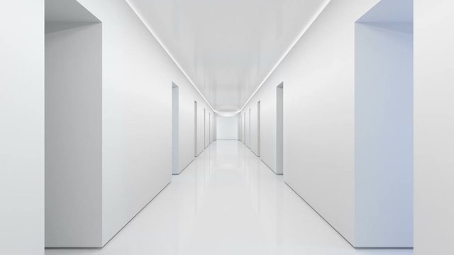 Modern interior design of office corridor with empty wall and floor